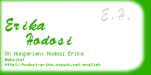 erika hodosi business card